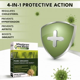 Wheatgrass & Barley Active – Your Daily Nutrient Powerhouse