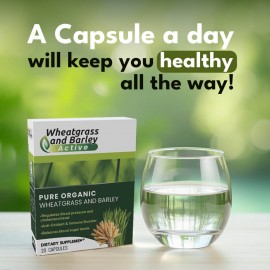 Wheatgrass & Barley Active – Your Daily Nutrient Powerhouse