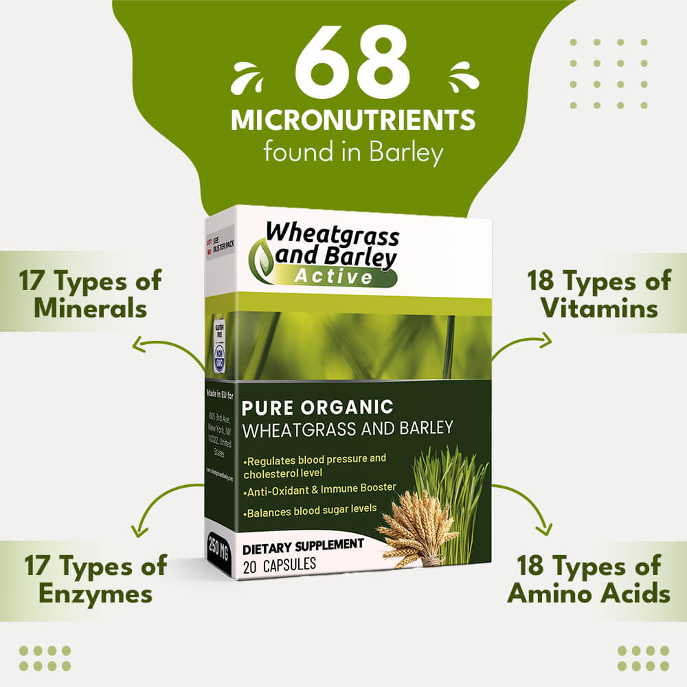 Wheatgrass & Barley Active – Your Daily Nutrient Powerhouse