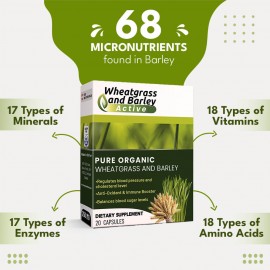 Wheatgrass & Barley Active – Your Daily Nutrient Powerhouse